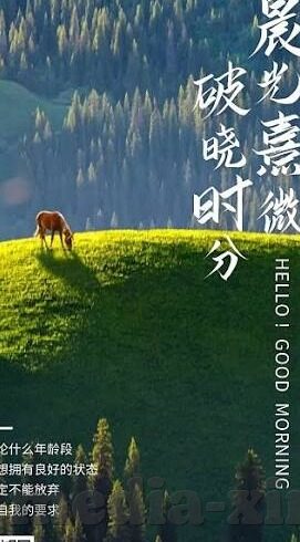 麻豆传媒最新下载-探索麻豆传媒的最新下载趋势，在变化中寻找沟通的桥梁